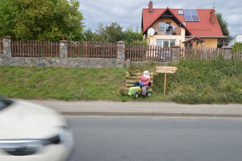 Parchowo. Dożynki Powiatowo-Gminne z piękną oprawą z kaszubszczyzną w tle (FOTO+VIDEO)