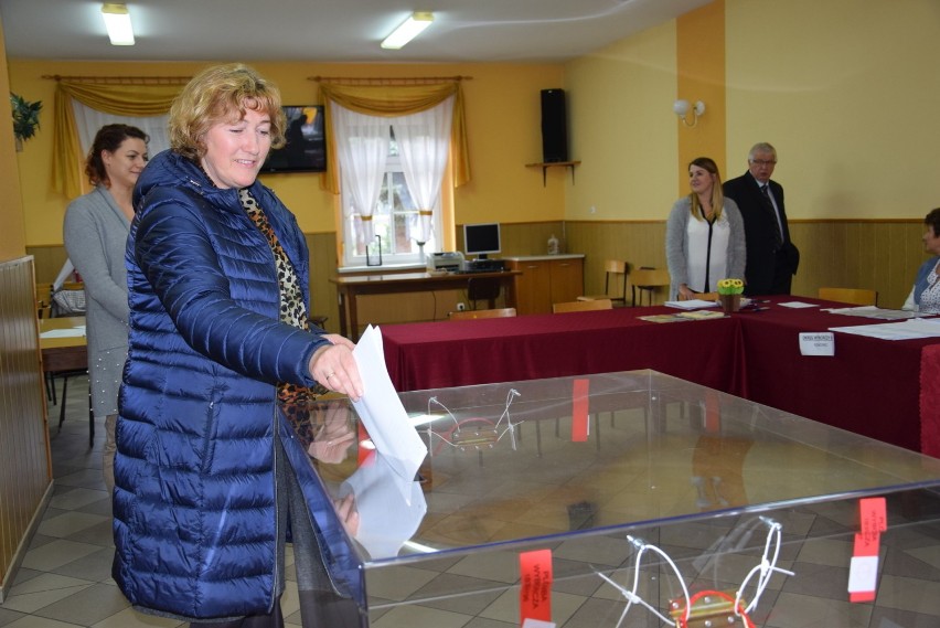 Wybory samorządowe 2018 w gminie Reńska Wieś.