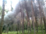 Pożar w Kosarzynie. Jedenaście jednostek strażackich walczyło z ogniem