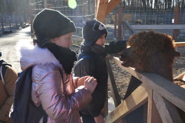 Oko w oko ze zwierzętami, czyli wyprawa dzieci z MDK w Zduńskiej Woli do mini zoo