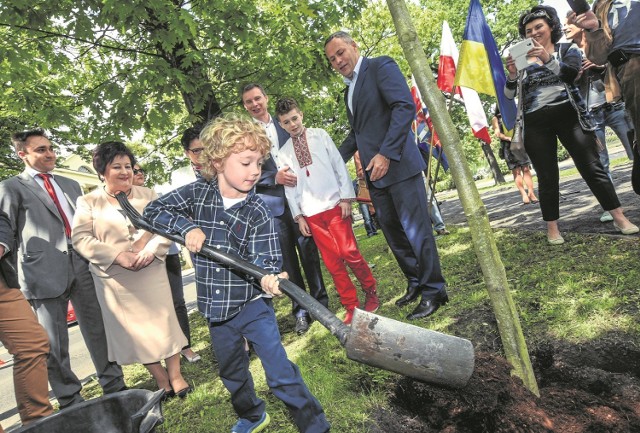 Dąb "Wolnej Ukrainy" to już 111 drzewo, które znalazło się w Al. Ossolińskich. Inicjatywa prowadzona jest już od 13 lat