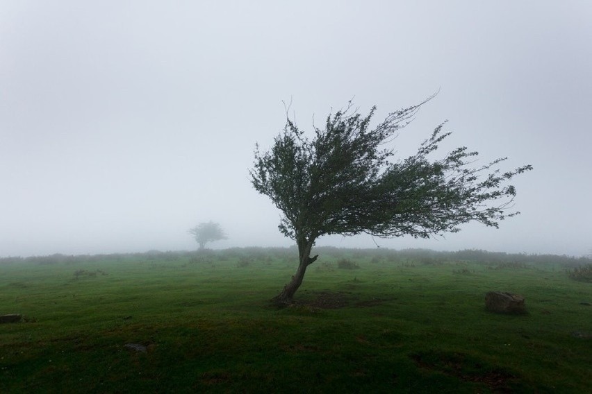 Meteorolodzy prognozują, że prawdopodobieństwo wystąpienia...