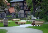 Gdańsk w konkursie na najpiękniejszą zieleń. Prowadzi Ogród japoński Parku Oliwskiego [ZDJĘCIA]