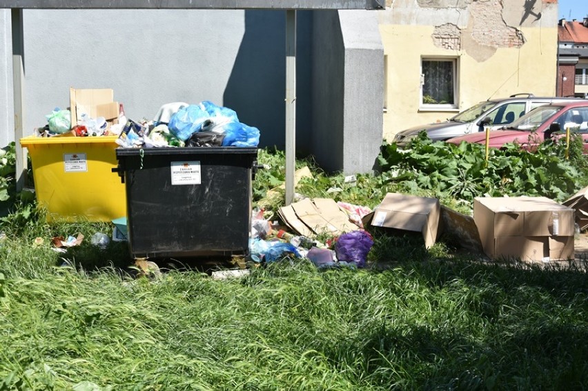 Śmieci wylewają się z kontenerów. "Nikt nic z tym nie robi" - żalą się mieszkańcy Legnicy [ZDJĘCIA]