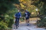 Botaniczna Piątka 2021 - biegacze w alejkach Ogrodu Botanicznego [ZDJĘCIA]