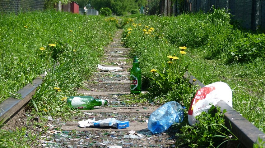 Piją, palą i zaśmiecają ogródki działkowe