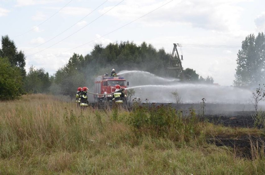 Ruszyła Kampania Społeczna „STOP pożarom traw” - apel strażaków z naszego powiatu
