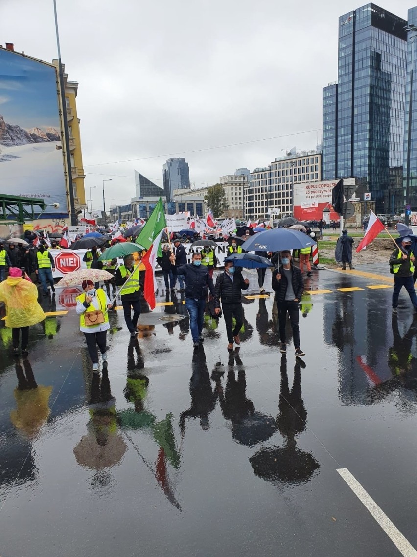 Protest rolników w Warszawie 13.10.2020 na żywo. Protestujący idą pod Sejm [zdjęcia, relacja]