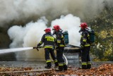 Pożar na Siedleckiej w Bydgoszczy. Ktoś podpalił stertę śmieci. Ogień gasiły dwa zastępy straży pożarnej