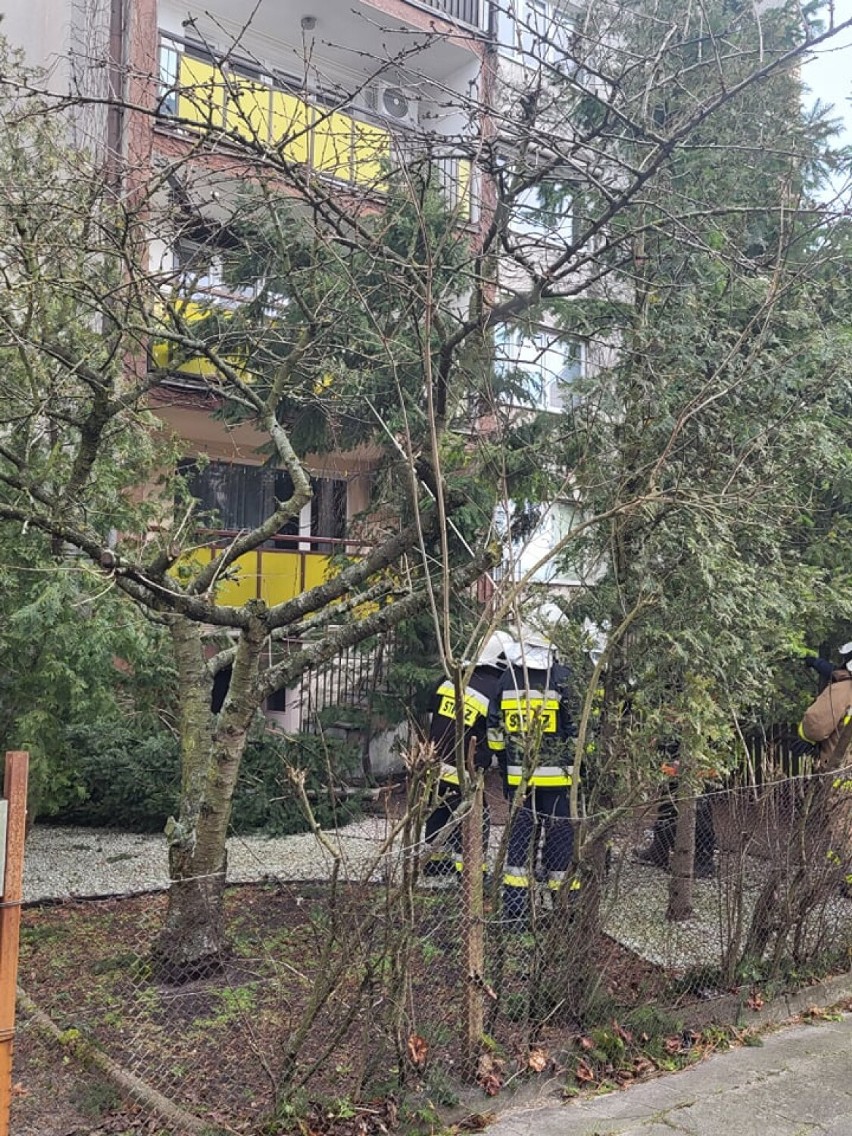 Wichura w powiecie wągrowieckim. Połamane drzewa, uszkodzone dachy. Około stu zgłoszeń odebrała już straż. Trwa usuwanie skutków nawałnicy