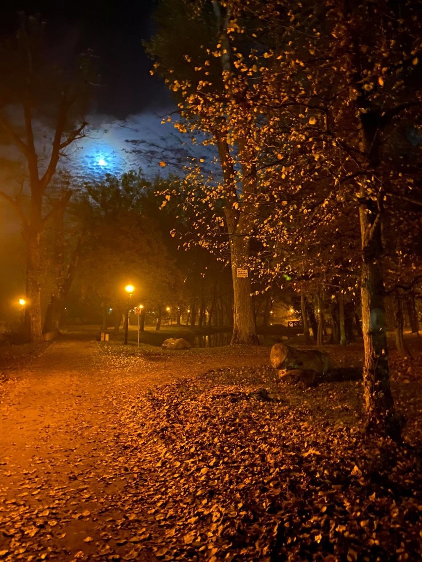 Jesień w Pleszewie. Jesienne planty nocą [ZDJĘCIA]