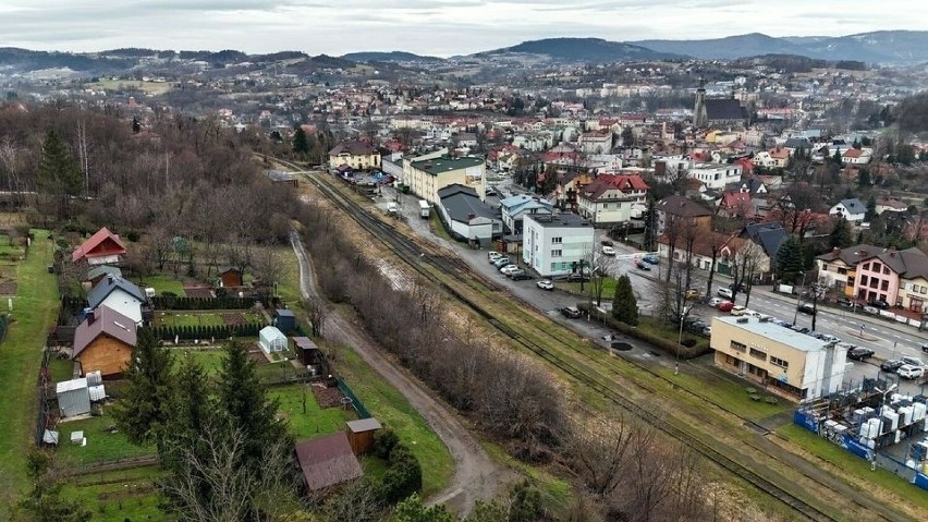 W Limanowej wycięto wiele drzew i krzewów podczas modernizacji linii kolejowej Chabówka-Nowy Sącz. PKP PLK daje 3,5 tys. sadzonek 