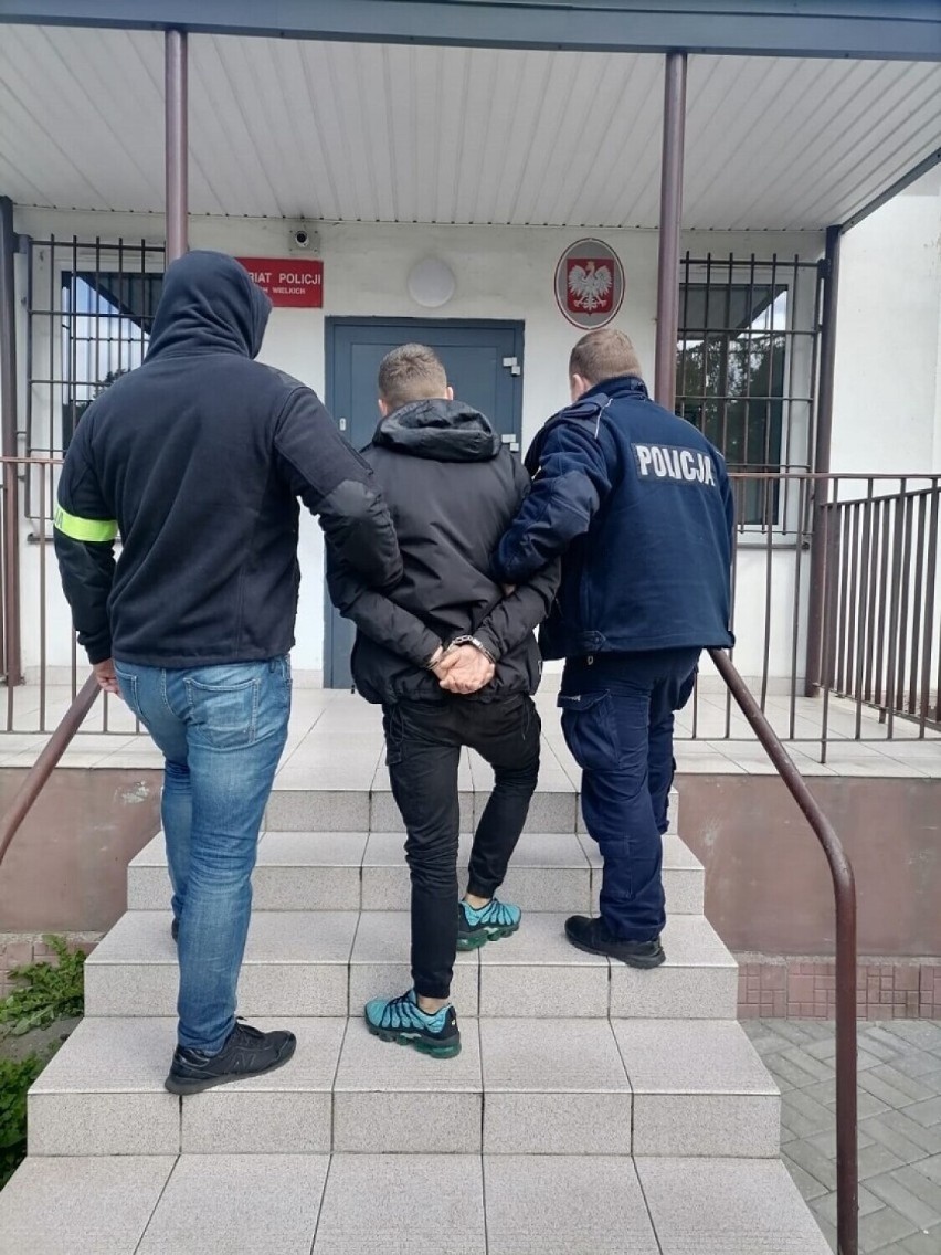 Trzech mężczyzn zatrzymanych. Policjanci w powiecie gdańskim schwytali dilerów, dwóch z nich miało przy sobie amfetaminę, jeden marihuanę