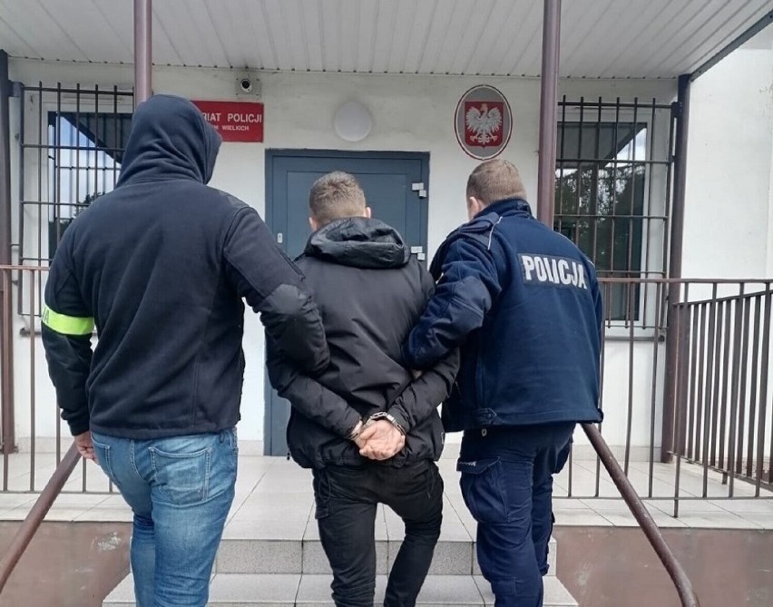Trzech mężczyzn zatrzymanych. Policjanci w powiecie gdańskim schwytali dilerów, dwóch z nich miało przy sobie amfetaminę, jeden marihuanę