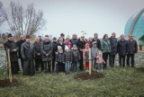 Rzeszów. Zasadzili jabłonie ku pamięci bł. Rodziny Ulmów [ZDJĘCIA, WIDEO]