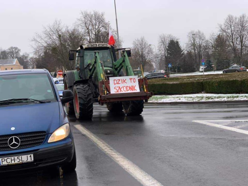 Rolnicy z Wielkopolski protestują. Żądają m.in. wybicia dzików w całym kraju