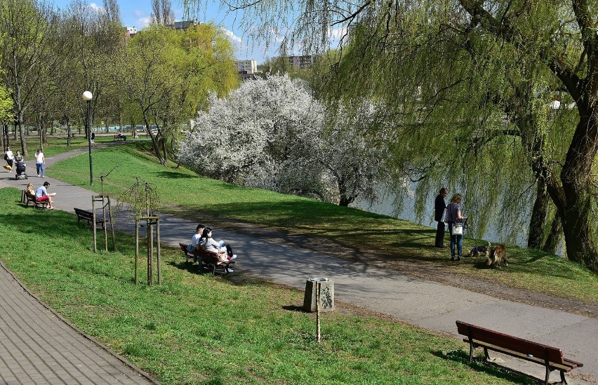 Szczęśliwice leżą na Ochocie. Znajdziecie tu całkiem sporo...