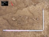 Ludzkie szkielety odkryte podczas prac archeologicznych przy ul. Mickiewicza i Tuwima w Przemyślu [ZDJĘCIA]