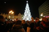 Choinka w Rynku już świeci! Mikołaj, elfy i tłumy wrocławian [MNÓSTWO ZDJĘĆ]