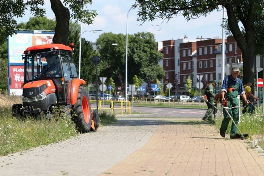 Chełm. Kosy i kosiarki poszły w ruch. Trawy zostaną skoszone w całym mieście