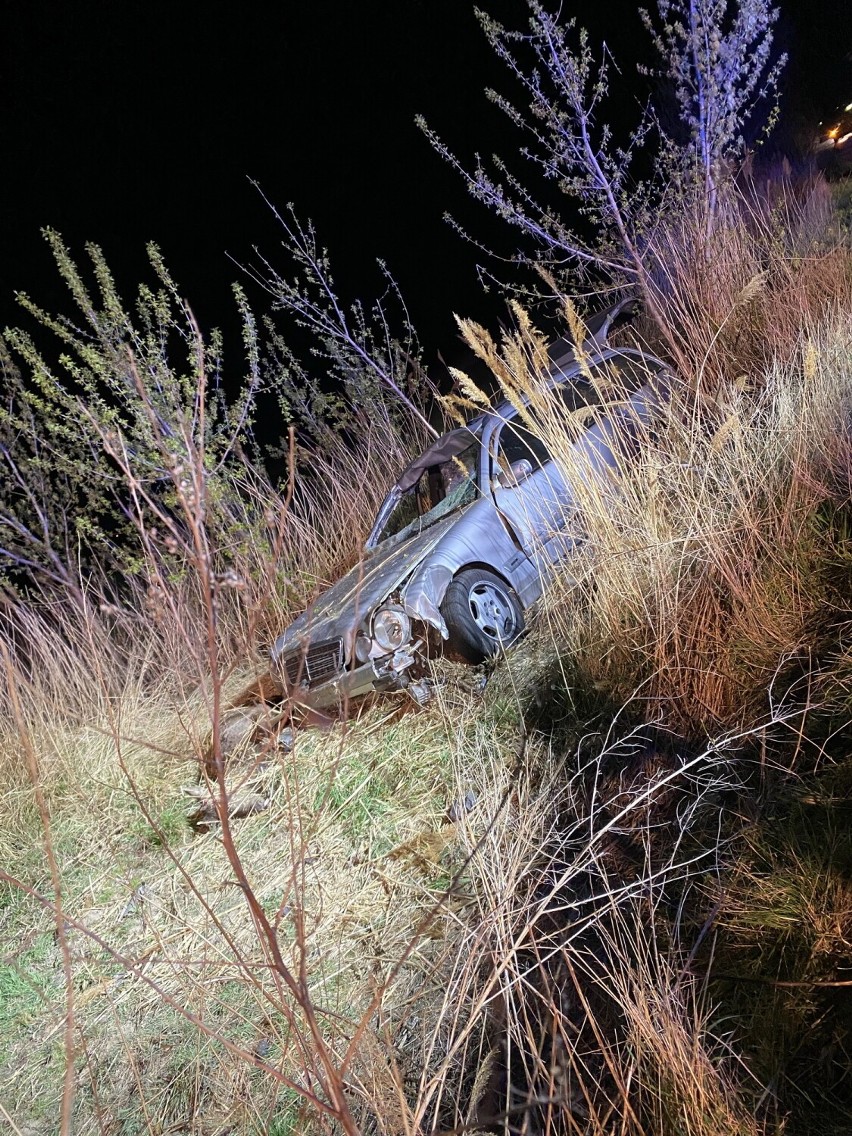 W miejscowości Pieruchy samochód zderzył się z jeleniem