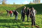 Powiat oświęcimski. Ponad pół tysiąca drzew na ratunek klimatowi. Zobaczcie efekty akcji w powiecie [ZDJĘCIA]