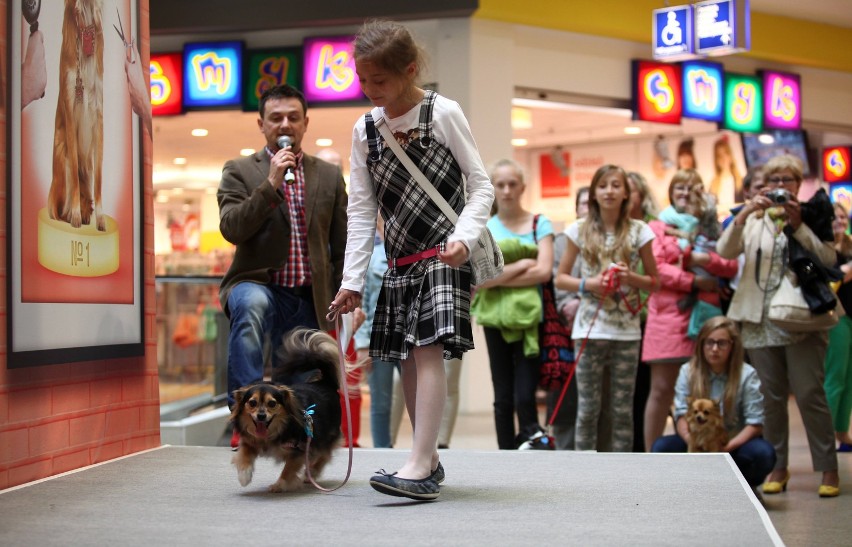 Święto psów w Galerii Łódzkiej [ZDJĘCIA]