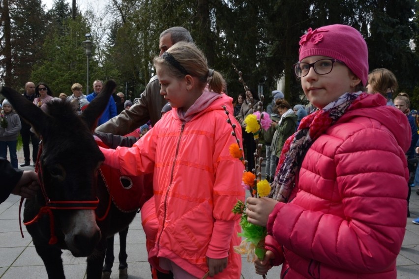 Niedziela Palmowa w Bełchatowie. Procesja w parafii pw. Narodzenia NMP