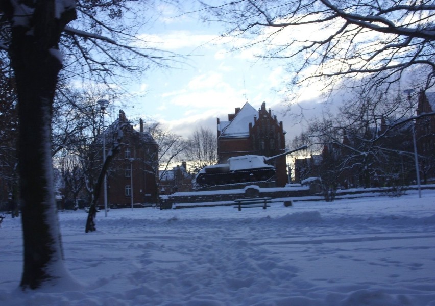 Malbork. Fot. Sylwia Legutko