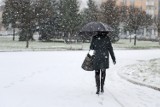 Mroźne i śnieżne święta w Poznaniu. Sprawdź jaka będzie pogoda w święta!