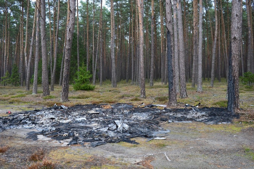 Plagą stało się nocne porzucanie w Puszczy Noteckiej hałd...