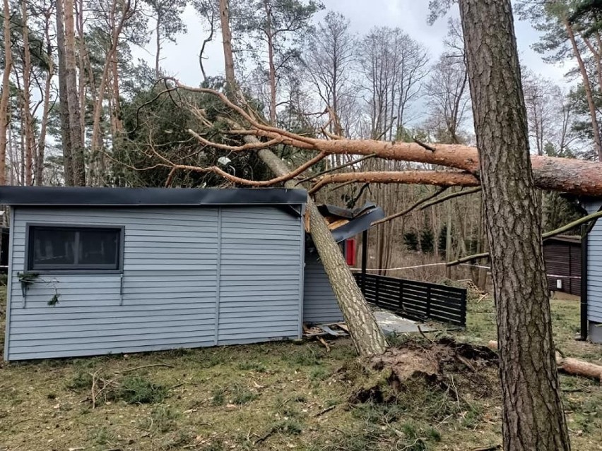 Huraganowy wiatr łamał drzewa, uszkadzał dachy i zrywał...