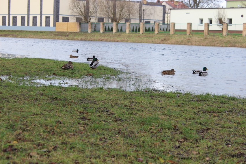 Obra robi się niebezpieczna.