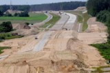Płazy uniemożliwią dokończenie autostrady A2?