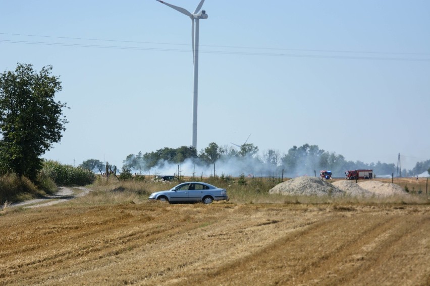 Pożar na polu w Zakrzewie pod Grudziądzem [zdjęcia, wideo]