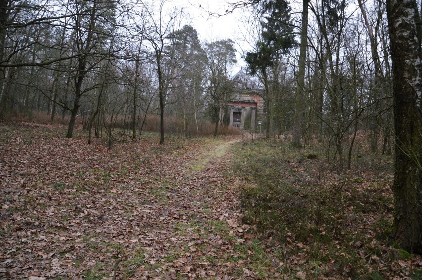 Grobowiec rodziny von Langendorff w lasach pod Kawczem