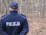 Saperzy i policjanci unieszkodliwili trzy niewybuchy. Może być ich więcej [zdjęcia]