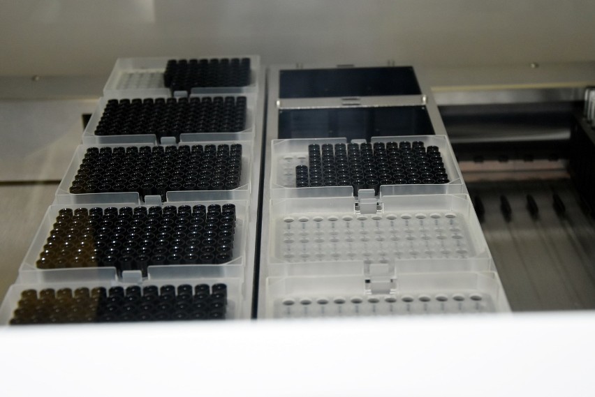 W Łomży już powstaje laboratorium wykonujące testy na koronawirusa. Zobacz gdzie