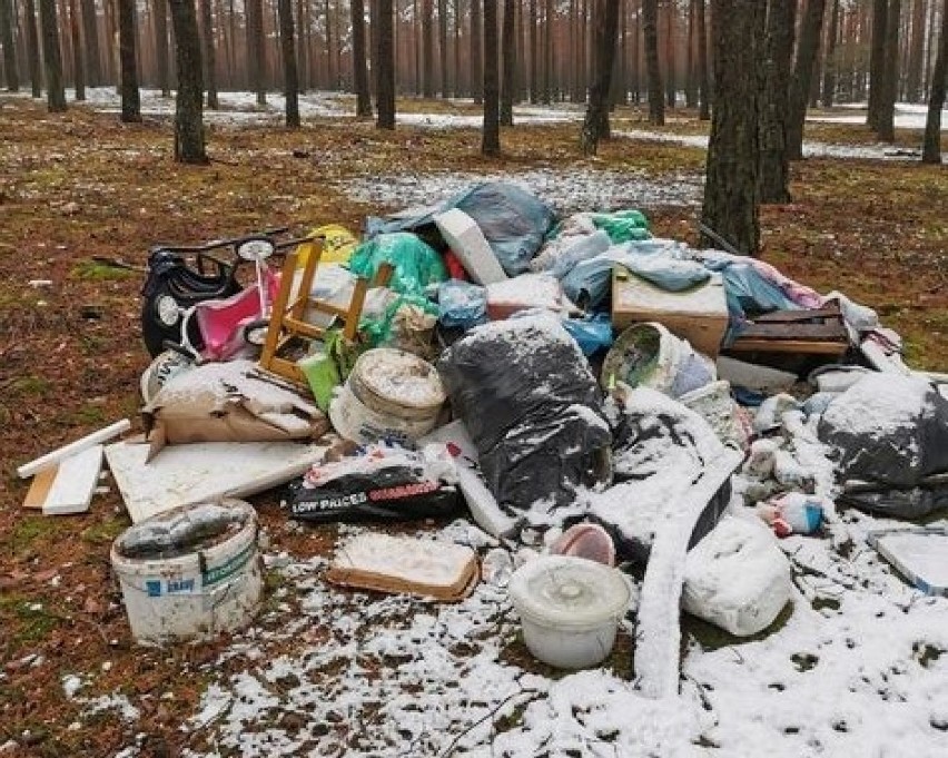 Takie śmieci można spotkać w lubuskich lasach.