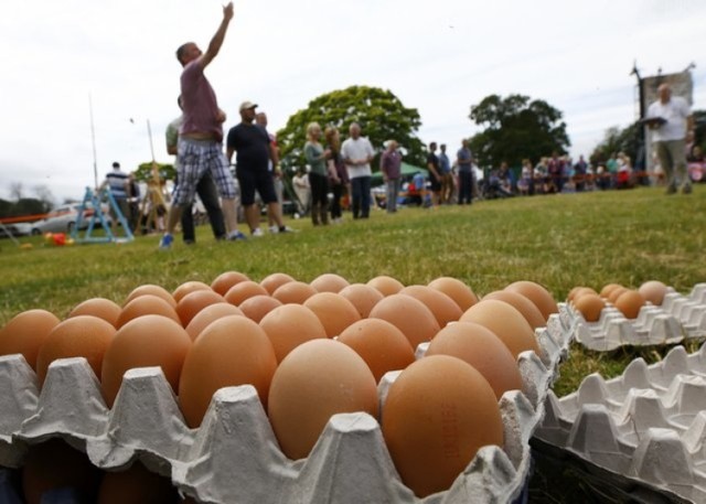 Mistrzostwa w rzucaniu jajkami swój początek mają w Wielkiej Brytanii. 

W zawodach nie chodzi tylko o rzucanie jajkami do celu, ale także o chwytanie, przekazywanie czy przenoszenie jajek. Najciekawsza jest chyba jednak jajeczna wersja rosyjskiej ruletki, podczas której jajka rozbija się na głowie. Pośród surowych jaj jest jedno ugotowane. Kto na nie trafi - przegrywa.