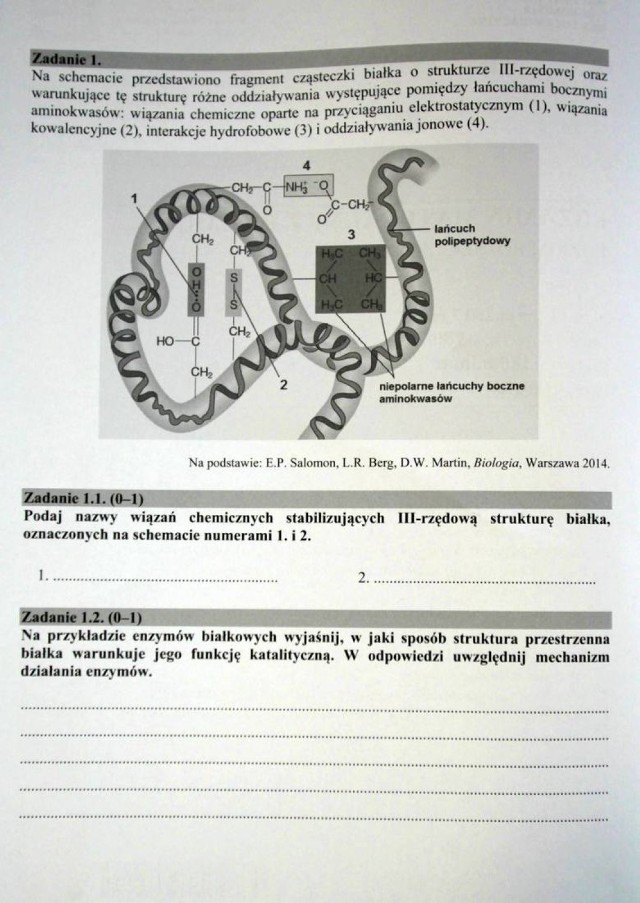 MATURA 2017 BIOLOGIA [POZIOM ROZSZERZONY]