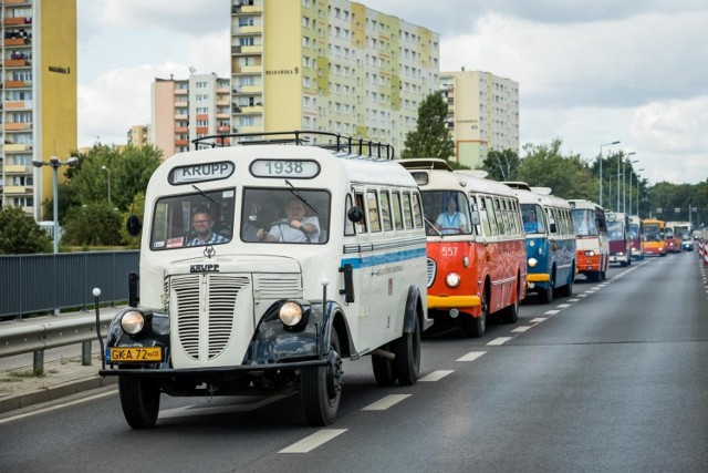 W Bydgoszczy odbył się zlot zabytkowych autobusów