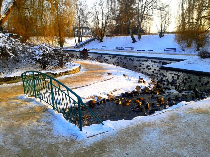 "Dolina Marzeń" w zimowej scenerii