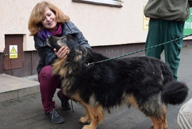 Michu i Kora mają nowy dom