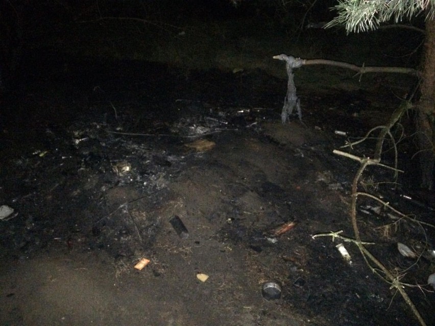 Pożar w Tczewie na terenie byłego poligonu wojskowego: prawdopodobnie podpalenie