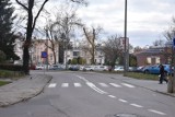 Co z bezpieczeństwem pieszych na ul. Żeromskiego w Malborku? "Zebra" na zakręcie grozi potrąceniem, więc przydałoby się wyniesione przejście