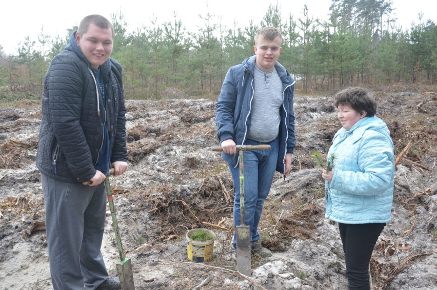 Wychowankowie ośrodka w Gromadzicach zasadzili las [FOTO]