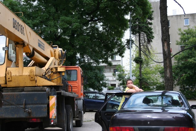 Wycinka miała być wstrzymana minimum do najbliższego ...