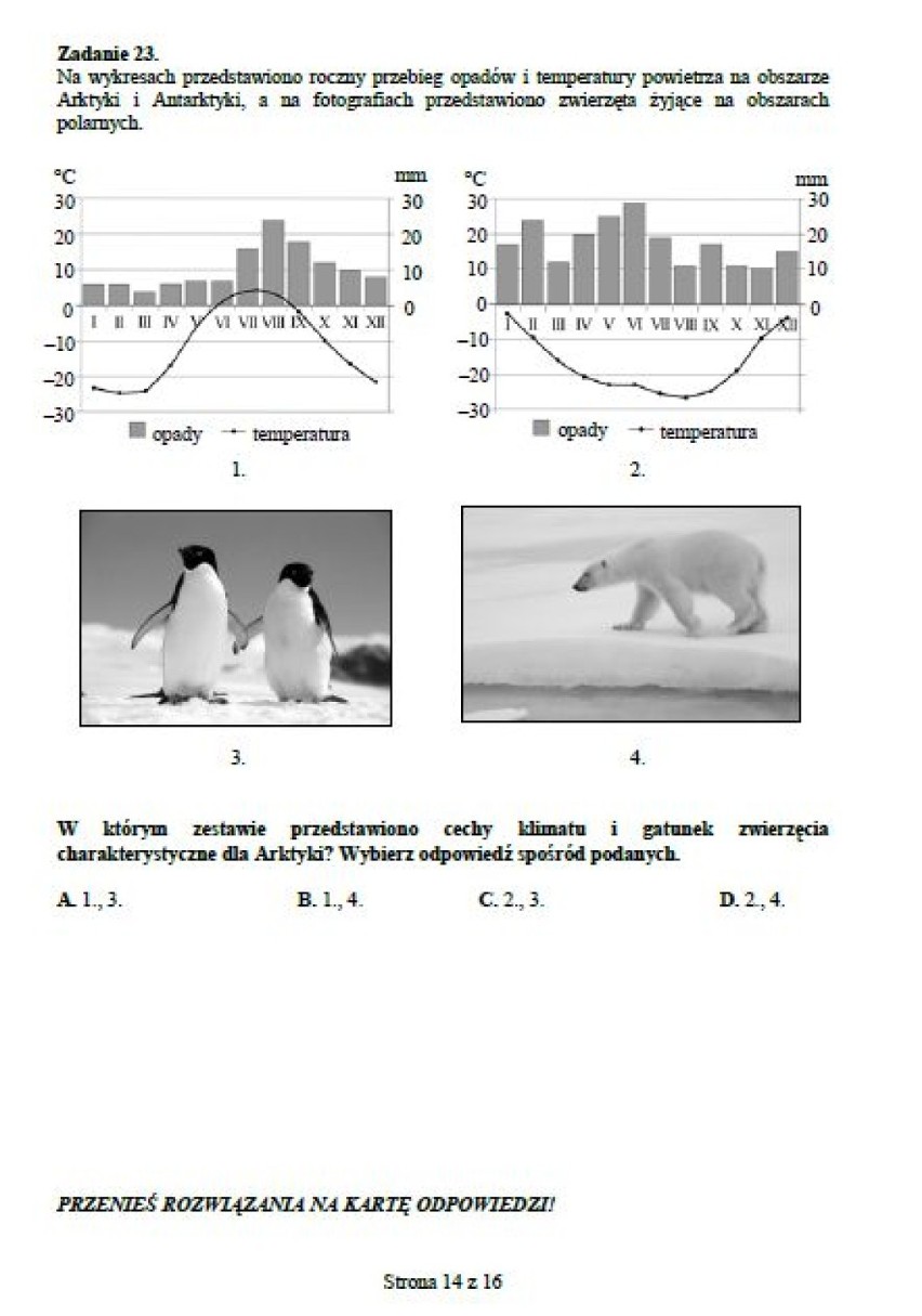 egzamin gimnazjalny matematyka| egzamin gimnazjalny...