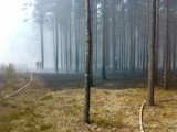 Pożary w lasach to zarowno dla strażaków jak i leśników już chleb powszedni